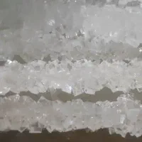 فروش انواع نبات چوبی و شاخه