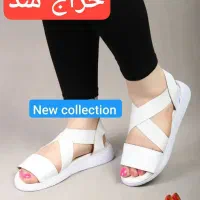 صندل حراجی