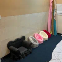 دکور اتلیه|دوربین عکاسی و فیلم‌برداری|همدان, |دیوار