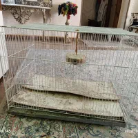 قفس بزرگ