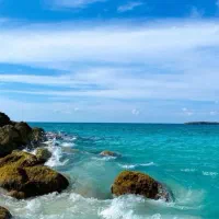 یع همراه میخوام