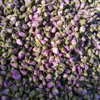 غنچه|گل و گیاه طبیعی|بروجرد, |دیوار
