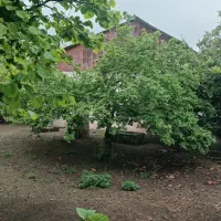 خانه-محوطه