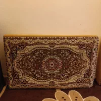پشتی