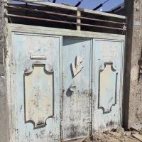 در حیاط ماشین زو