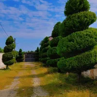 جویا کار باغبانی نگهداری از باغ