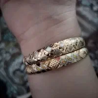 طلادودرصد(النگوگوشواره)