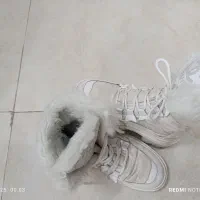 نیم بوت|کیف، کفش، کمربند|بروجرد, |دیوار