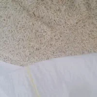 برنج محلی هاشمی|خوردنی و آشامیدنی|بیرانوند, |دیوار