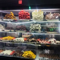 منقل کار سالن کار شاطر