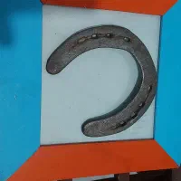 نعل اسب نریان پاخورده