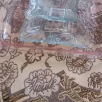 سرویس پذیرای