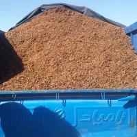 فروش تفاله سیب و چغندر