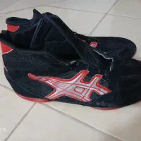 کفش کشتی|کیف، کفش، کمربند|بیرجند, |دیوار