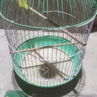 قفس پرنده|لوازم جانبی حیوانات|فولادشهر, B2|دیوار