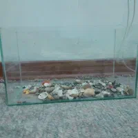 آکواریم ماهی باوسایل