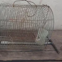قفس سهره