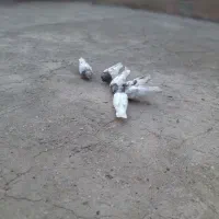 موکت 6عددکله ای