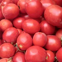 میوه ترتازه|خوردنی و آشامیدنی|مشهد, خین عرب|دیوار