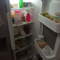 یخچال سایدالجی|یخچال و فریزر|فردیس, قریشی|دیوار