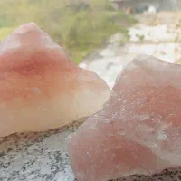 محیط زندگی و بدنتو با اینا پاکسازی کن|عمده‌فروشی|رشت, کاکتوس|دیوار