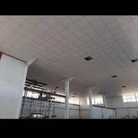 خدمات سقف کاذب|خدمات پیشه و مهارت|پاکدشت, |دیوار