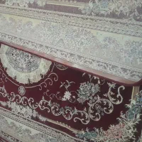۵ عدد ۶ متری تر تمیز|فرش|بزینه رود, |دیوار