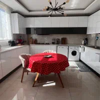 دو عدد لوستر مشکی برند آرتا|لوستر و چراغ آویز|رشت, معلم|دیوار