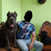 ۲نژاد قدرتمند روت وایلر و کین کورسو اورجینال