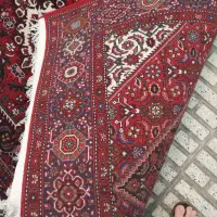 فرش دست بافت|فرش|زنجان, |دیوار