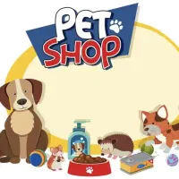 غذای خشک گربه و سگ بلفی