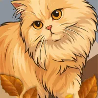 پرشین دال فیس|گربه|ابهر, |دیوار