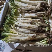 کنگر و تره کوهی به صورت کلی و جزئی