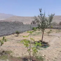 کوهپایه زمین ویلایی