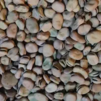 باقلا قراملک خوش پخت وبه شرط