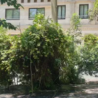 110متر-2خواب-حیات-مشجر-شهرک-غرب