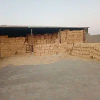 فروش یونجه وسفال گندم به صورت کلی