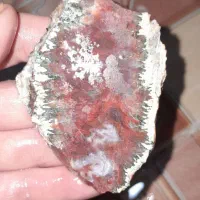 اسلایس شجرزیبا