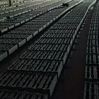 بلوک سیمانی بلوک ساختمانی بلوکلیکاه بلوک پوکه ای|خدمات پیشه و مهارت|قم, قلعه صدری|دیوار