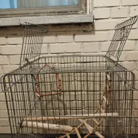 قفس پرنده بزرگ