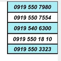 0919.3.997.998|سیمکارت|کرج, استاندارد|دیوار