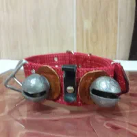 زنجیر|لوازم جانبی حیوانات|مسجد سلیمان, |دیوار