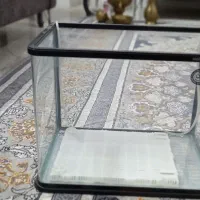 آکواریوم|ماهی|ری, علایین|دیوار