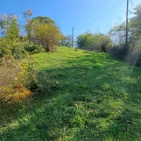 زمین باغی آینده دار /رو ارتفاع|فروش زمین و ملک کلنگی|سیاهکل, |دیوار