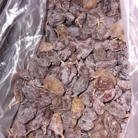 کشمش