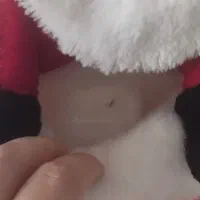 جوراب عروسک بابا نوعل مخصوص کریسمس موزیکال|اسباببازی|رشت, کوی حسینی|دیوار