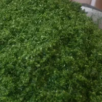 سبزی آماده (سرعین)