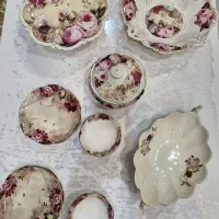 ظروف پذیرایی لمونژ