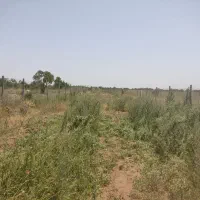 باغ 1000متری سند دار با سهمیه آب|فروش زمین و ملک کلنگی|دشتابی, |دیوار