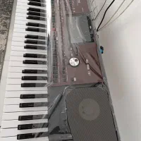 Pa700